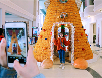 [ẢNH] Việt Nam cũng sở hữu những cây thông độc lạ 