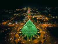 [ẢNH] Việt Nam cũng sở hữu những cây thông độc lạ 