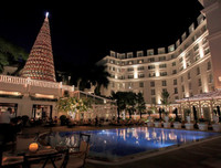 [ẢNH] Việt Nam cũng sở hữu những cây thông độc lạ 