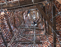 [ẢNH] Việt Nam cũng sở hữu những cây thông độc lạ 