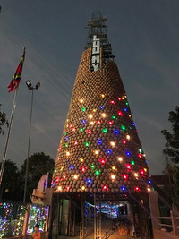 [ẢNH] Việt Nam cũng sở hữu những cây thông độc lạ 