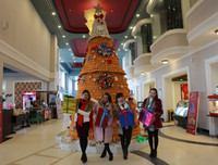 [ẢNH] Việt Nam cũng sở hữu những cây thông độc lạ 