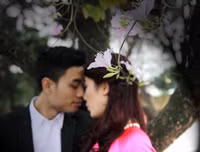 [ẢNH] Vẻ quyến rũ đến say đắm lòng người của hoa ban giữa lòng Thủ đô