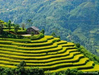 Những địa điểm du lịch tuyệt vời cho kỳ nghỉ lễ 10-3 âm lịch