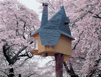 [ẢNH] Những ngôi nhà khiến cả thế giới phải 