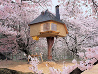 [ẢNH] Những ngôi nhà khiến cả thế giới phải 