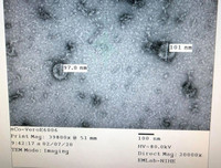 [ẢNH] Những phát hiện khoa học quan trọng của các nước về virus corona