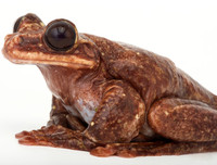 [ẢNH] Điểm danh những thứ 