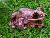 [ẢNH] Điểm danh những thứ 