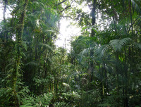 [ẢNH] Điểm danh những thứ 