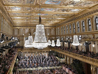 [ẢNH] Không khí đón năm mới 2019 khắp nơi trên thế giới