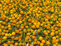 [ẢNH] Top 6 loại gia vị 