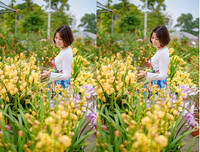 [ẢNH] Những phụ nữ 