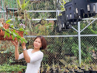 [ẢNH] Những phụ nữ 