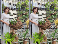 [ẢNH] Những phụ nữ 