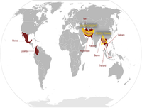 [Ảnh] Lưỡi liềm vàng – Tam giác vàng: Công xưởng ma túy của thế giới