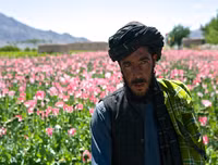 [Ảnh] Lưỡi liềm vàng – Tam giác vàng: Công xưởng ma túy của thế giới