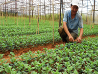 Hướng dẫn bảo quản và lựa chọn thực phẩm tươi ngon!