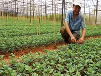 Hướng dẫn bảo quản và lựa chọn thực phẩm tươi ngon!