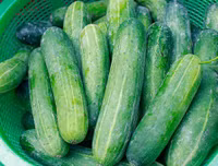 [ẢNH] Mẹo để thực phẩm Tết mua về không phí tiền vì hỏng (1): Rau - củ - quả