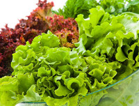 [ẢNH] Mẹo để thực phẩm Tết mua về không phí tiền vì hỏng (1): Rau - củ - quả