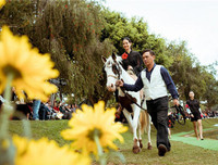 [ẢNH] NTK Công Huân: 