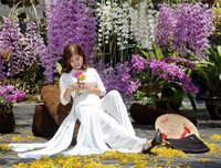 [ẢNH] Những phụ nữ 