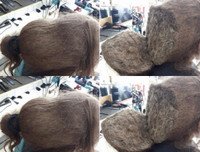 Mục sở thị những mái tóc kỳ lạ nhất thế giới, hàng chục năm không cắt gội