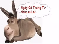 1/4 là ngày... quốc tế tỏ tình!