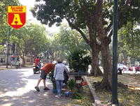 [ẢNH] Phơi mình mưu sinh dưới nắng 