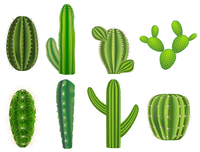 [ẢNH] Độc đáo với những món ngon được chế biến từ xương rồng