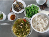 [ẢNH] Độc đáo với những món ngon được chế biến từ xương rồng