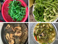 [ẢNH] Độc đáo với những món ngon được chế biến từ xương rồng