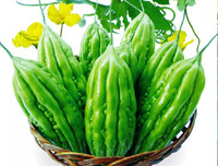 [ẢNH] 3 loại rau quả có vị đắng nhưng cực tốt cho sức khỏe