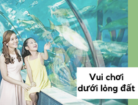 Hà Nội mưa rét: Đi đâu, ăn gì thú vị nhất?