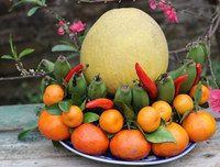 [ẢNH] Mâm ngũ quả ngày Tết 