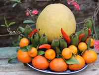 [ẢNH] Mâm ngũ quả ngày Tết 