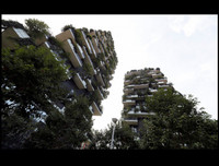 Những cách đối phó với 