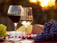 [ẢNH] Những loại thực phẩm giúp phòng chống cảm lạnh trong mùa đông