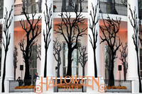 [ẢNH] Tổng thống Mỹ Donald Trump phát kẹo Halloween tại Nhà Trắng