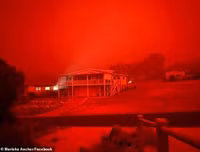 [ẢNH] Một số bức ảnh thu hút toàn thế giới trong thập kỷ vừa qua