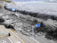 [ẢNH] Một số bức ảnh thu hút toàn thế giới trong thập kỷ vừa qua