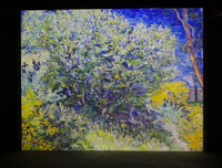 [ẢNH] Độc đáo Triển lãm số: 