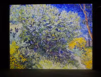 [ẢNH] Độc đáo Triển lãm số: 