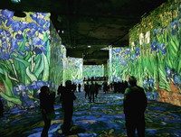 [ẢNH] Độc đáo Triển lãm số: 