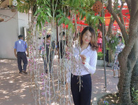 [ẢNH] Những phụ nữ 