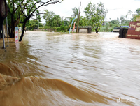 Ảnh hưởng bão số 2: Cầu sập, kênh vỡ, 5 người thương vong