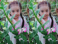 [ẢNH] Những phụ nữ 