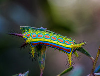 [ẢNH] Chiêm ngưỡng 