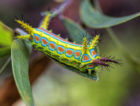 [ẢNH] Chiêm ngưỡng 